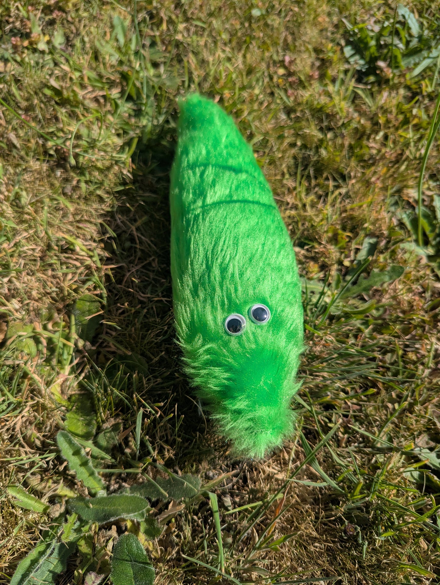 Mini Wormz on a String