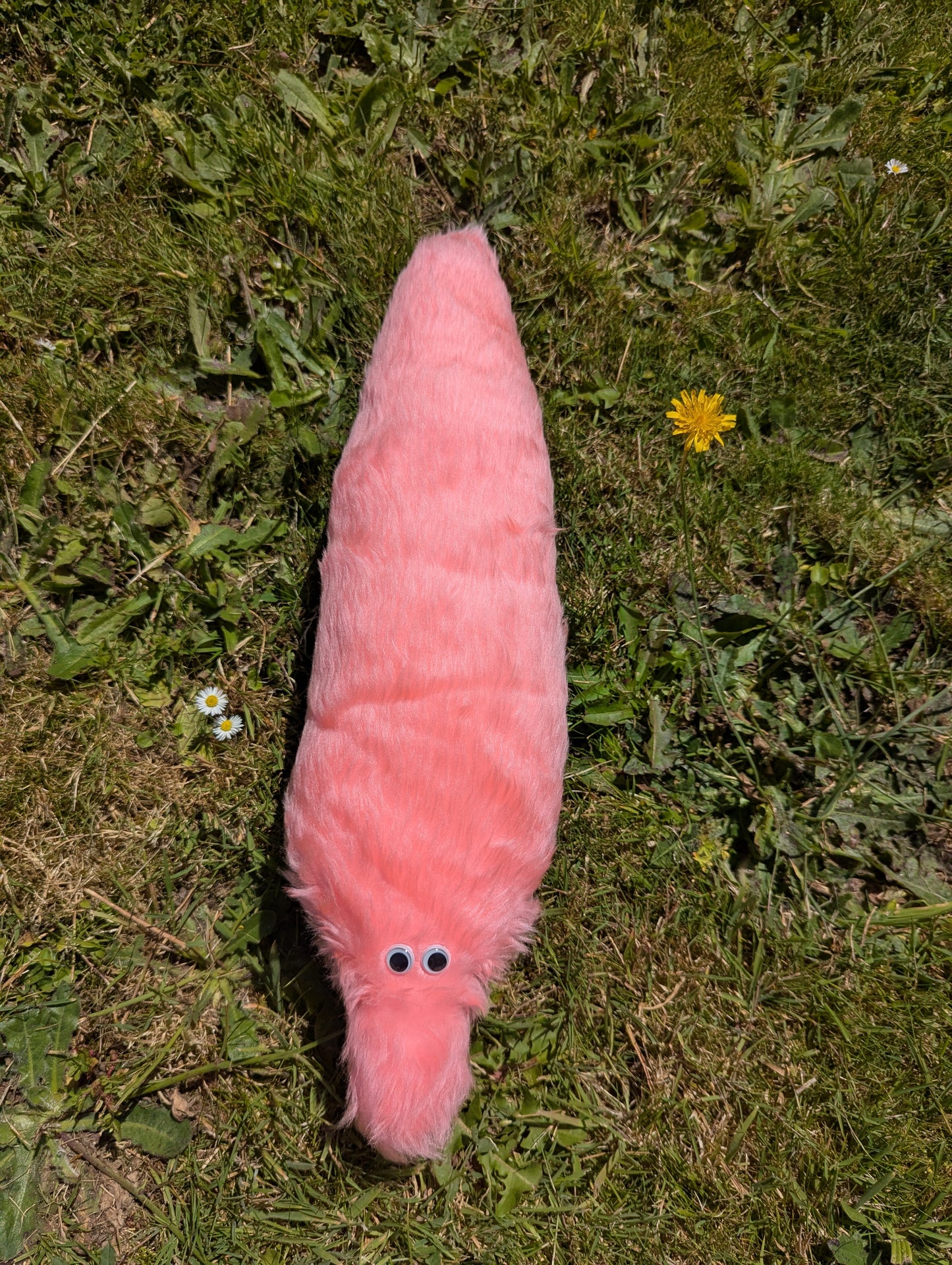 Giant Wormz On a String