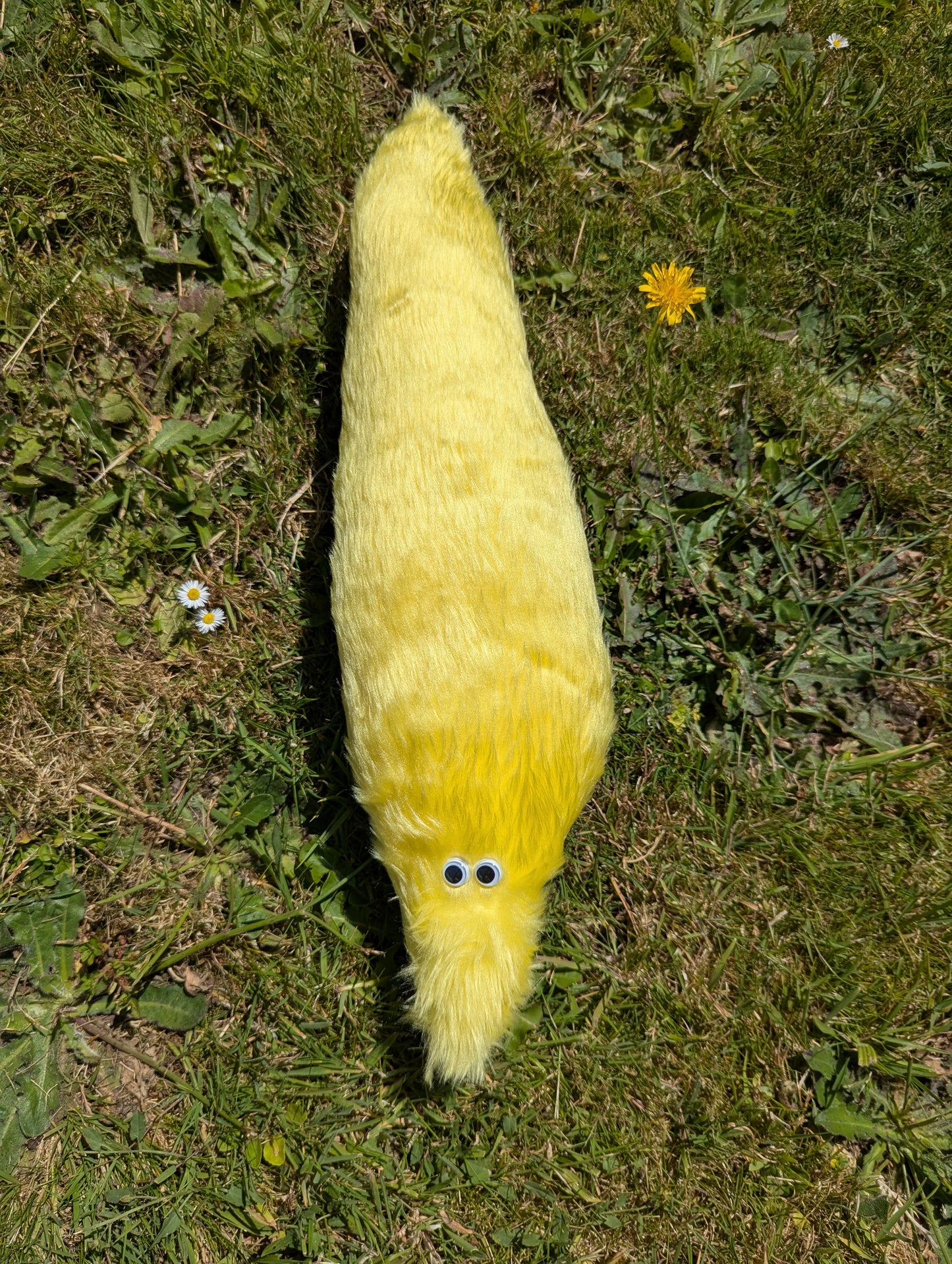 Giant Wormz On a String