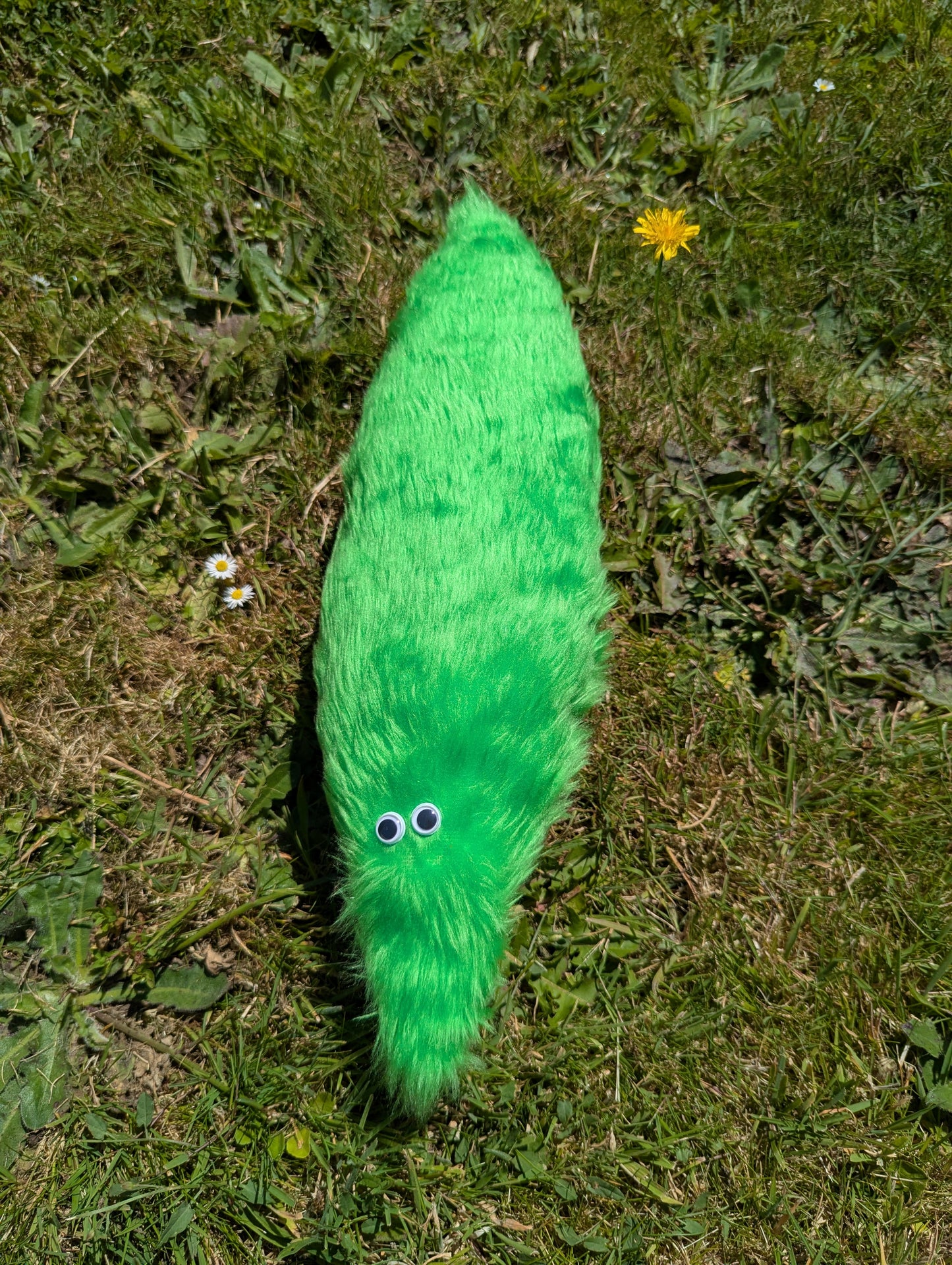 Giant Wormz On a String