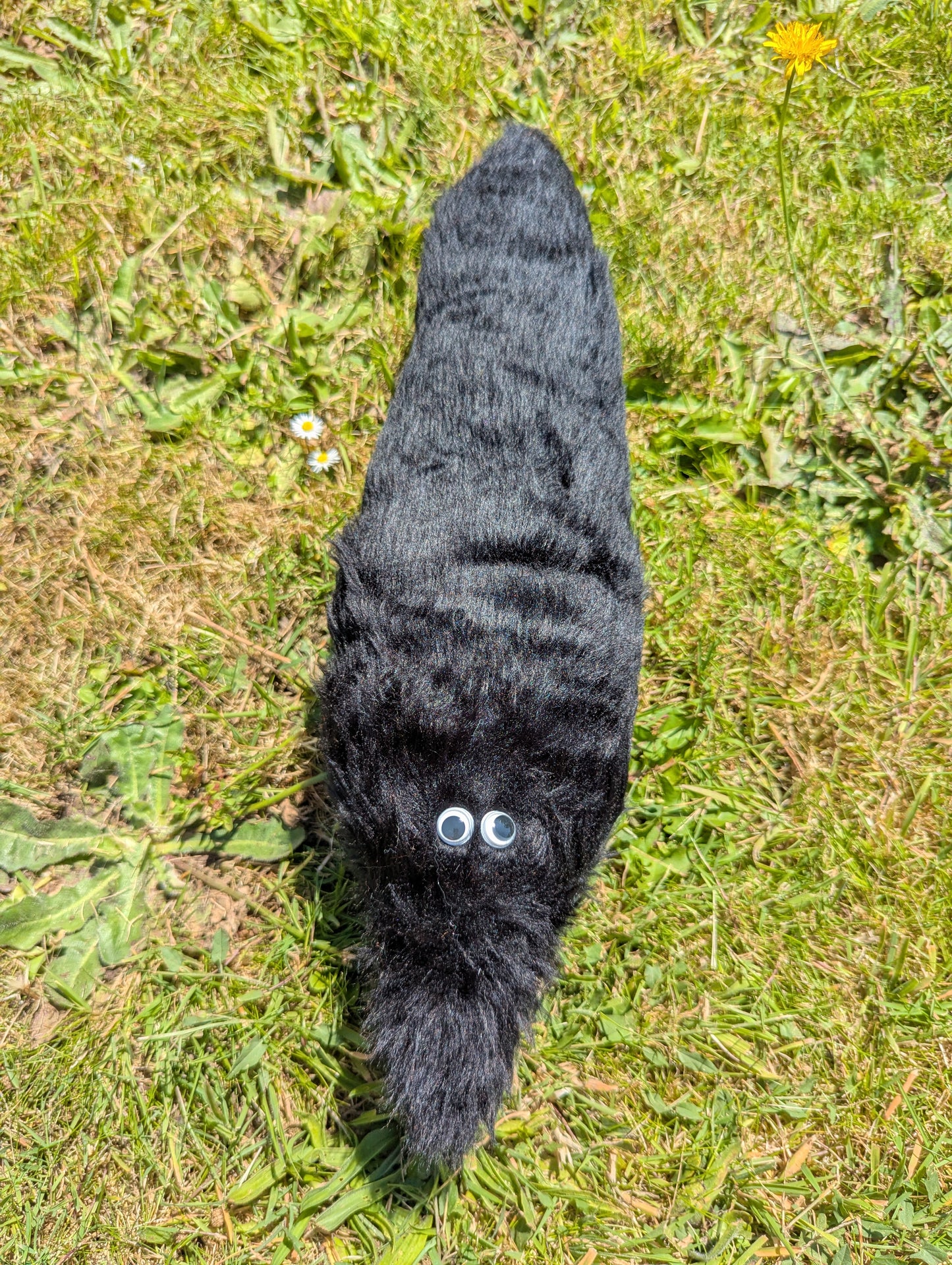 Giant Wormz On a String