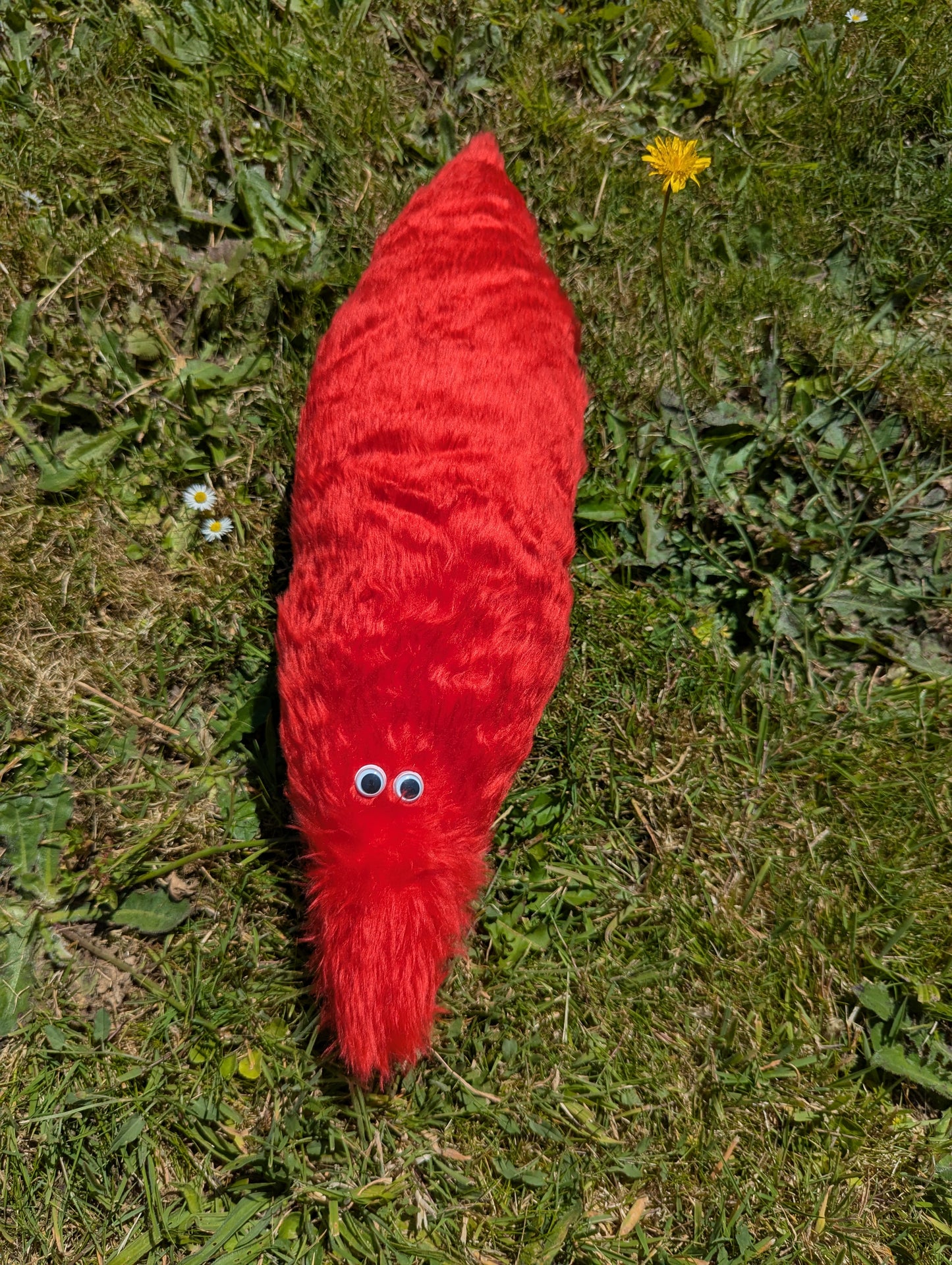 Giant Wormz On a String