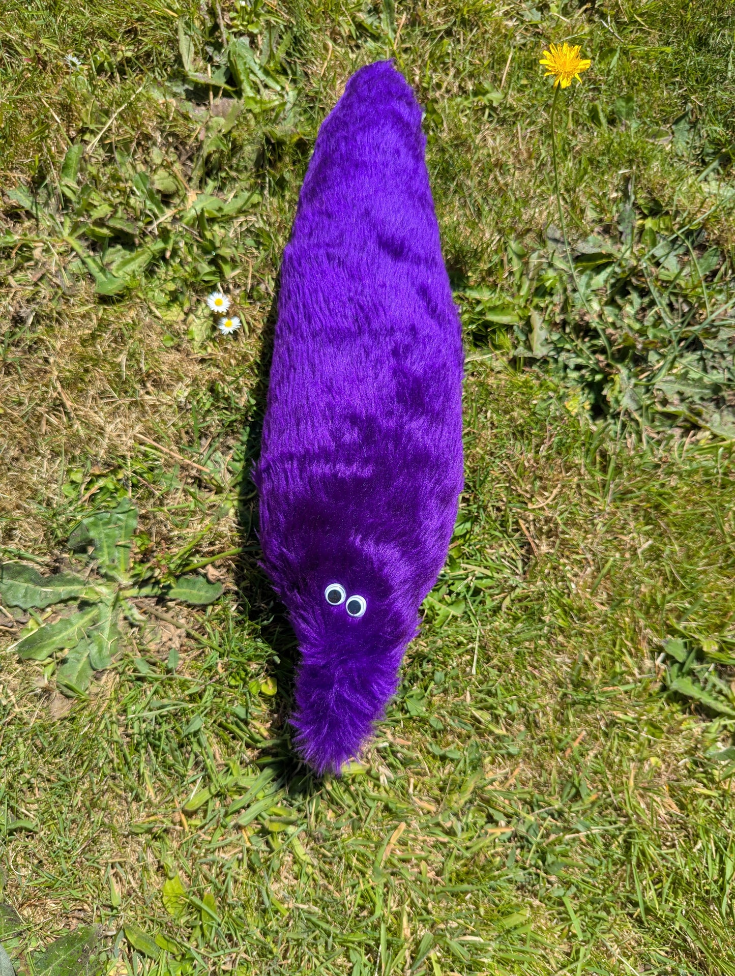 Giant Wormz On a String