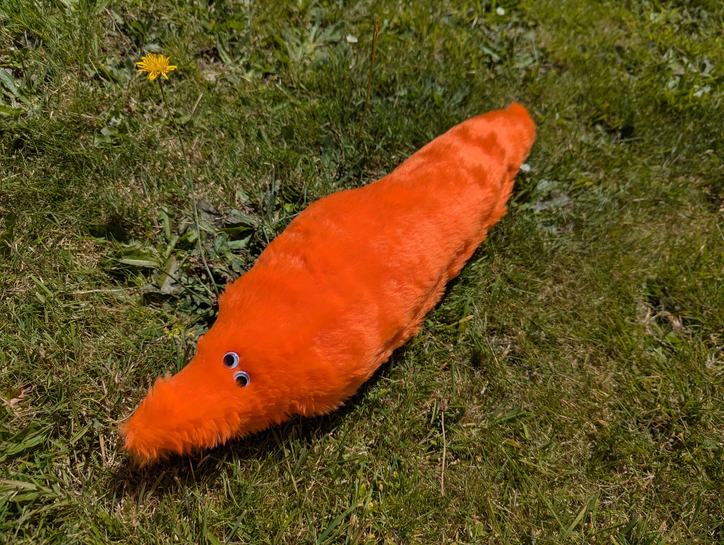 Giant Wormz On a String